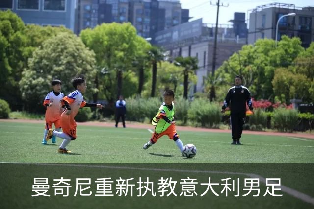 曼奇尼重新执教意大利男足