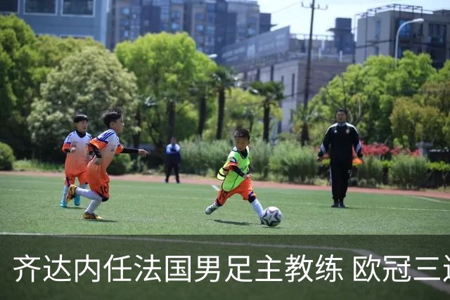 齐达内任法国男足主教练 欧冠三连冠铸就传奇